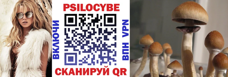 Купить где  Лесной  Галлюциногенные грибы прущие грибы 